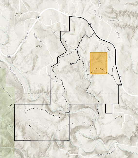 Treatment area