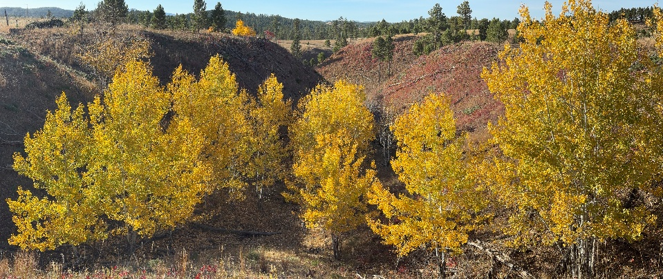 View from the upper portion of the drainage