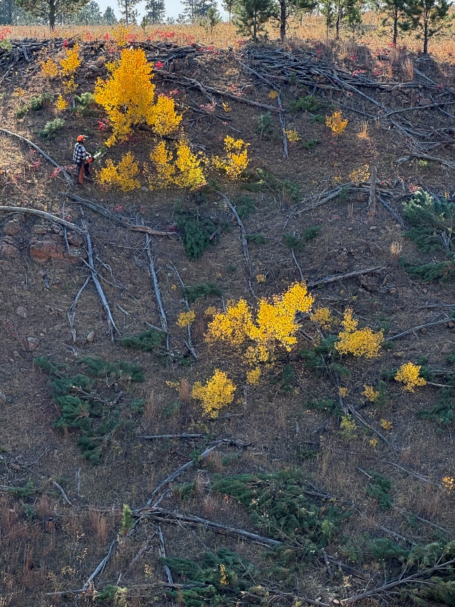Work in progress on the northern slope