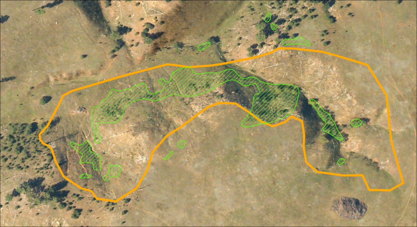 2025 aerial